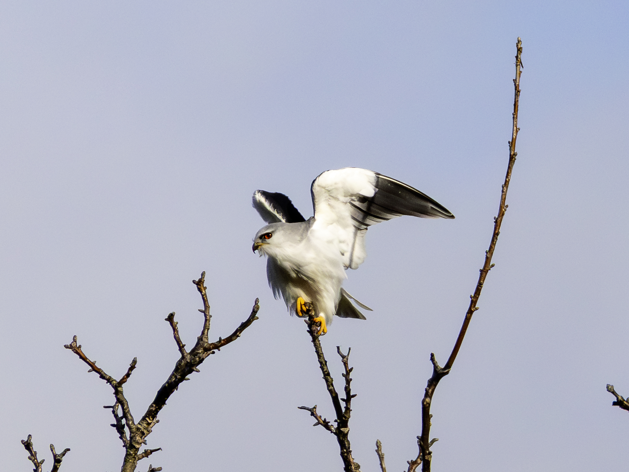 gleitaar-22.januar-2026-11-verbessert-rr