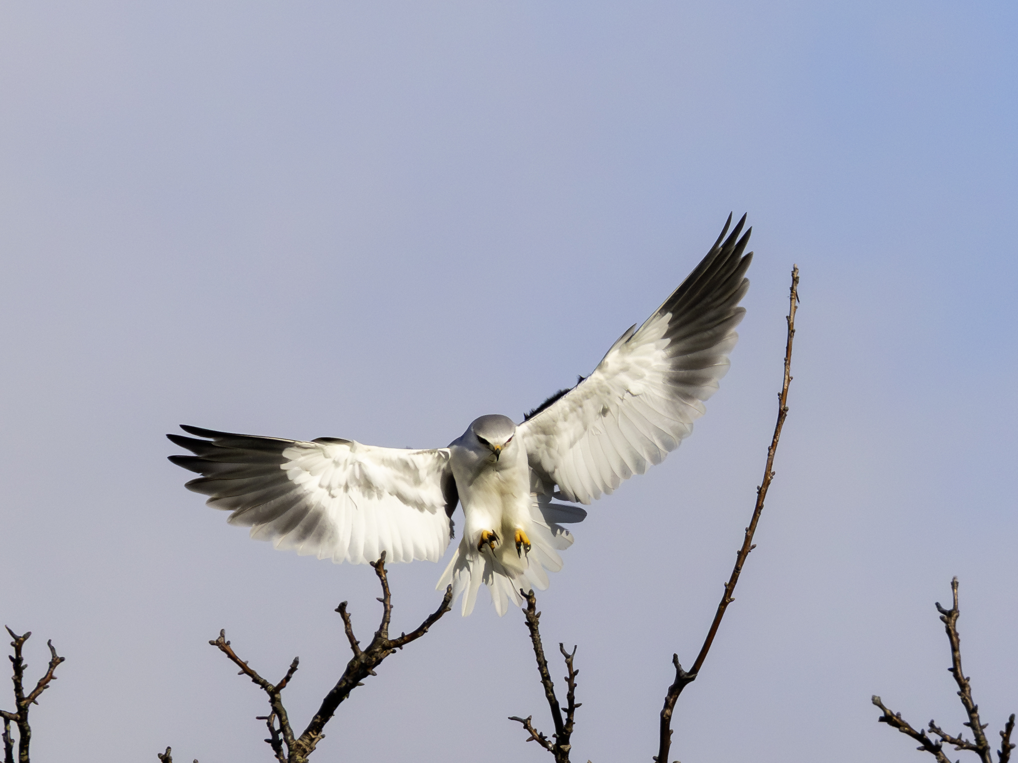 gleitaar-22.januar-2026-8-verbessert-rr