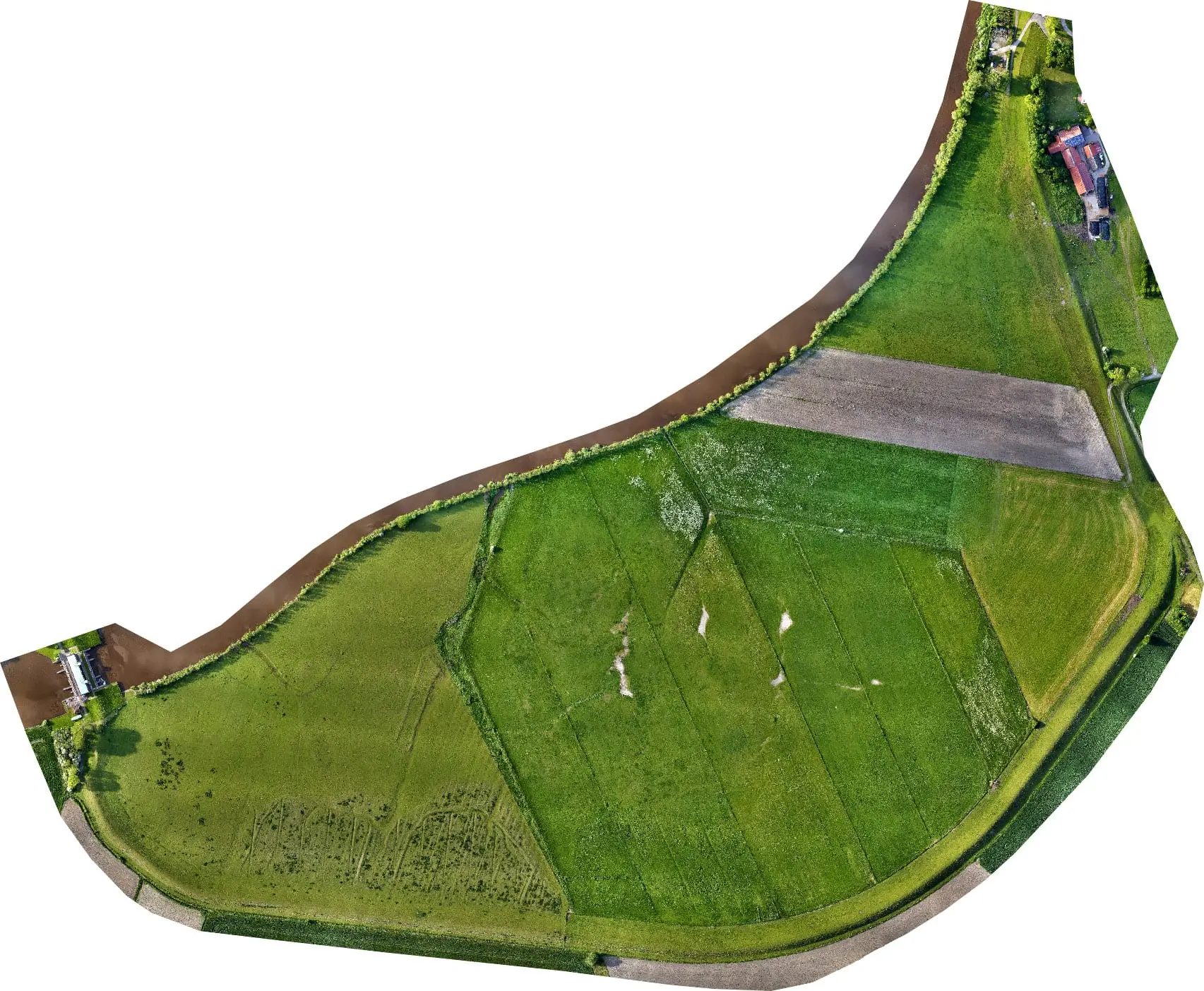 Dangaster Polder im Jahr 2015: Dangaster Polder mit sichtbaren Prielstrukturen im Juni 2015