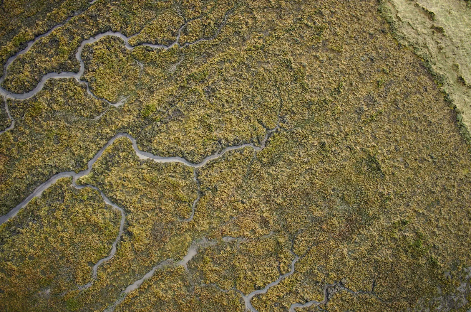 Luftbild Langwarder Groden