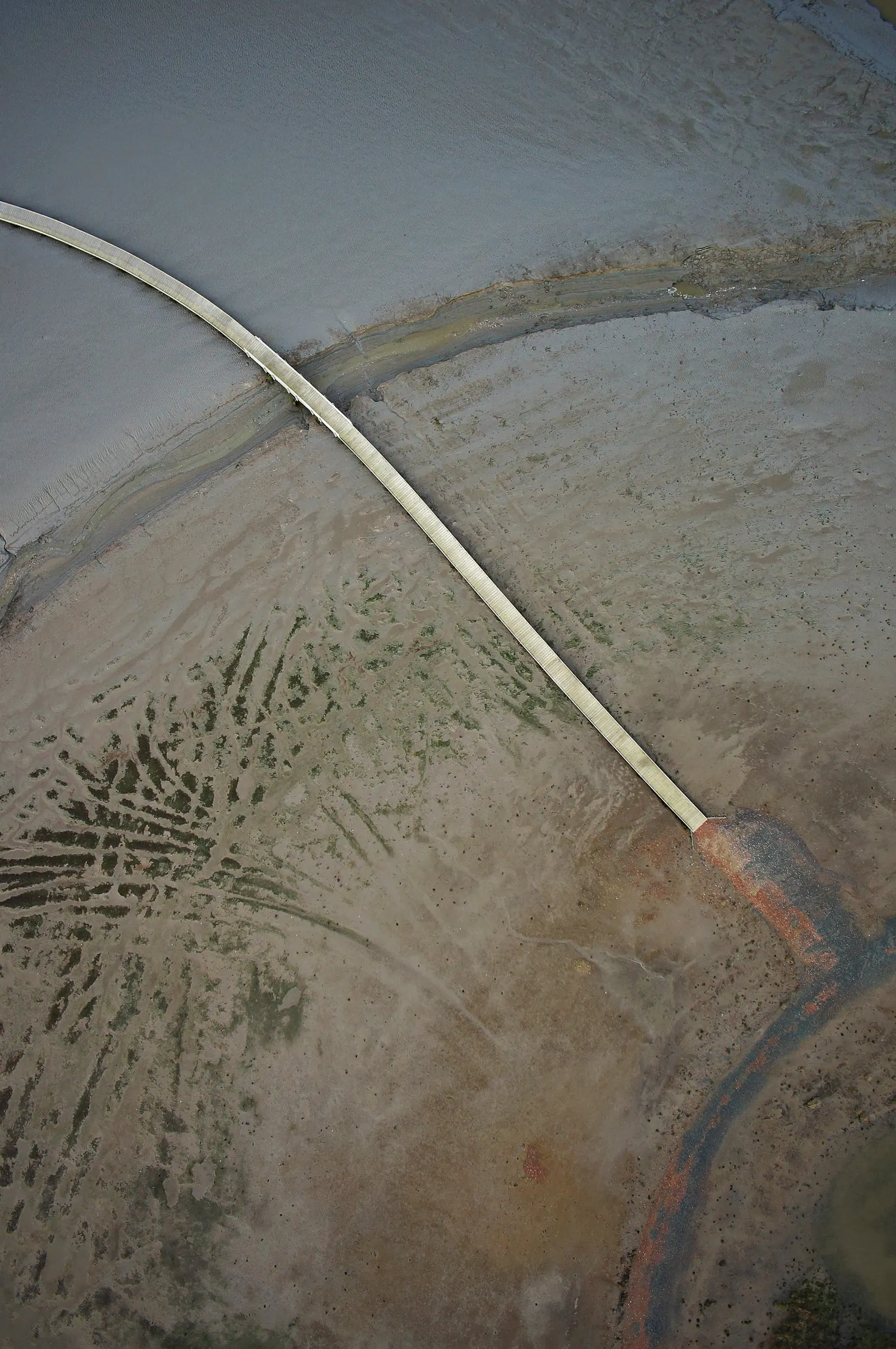 Luftbild Langwarder Groden