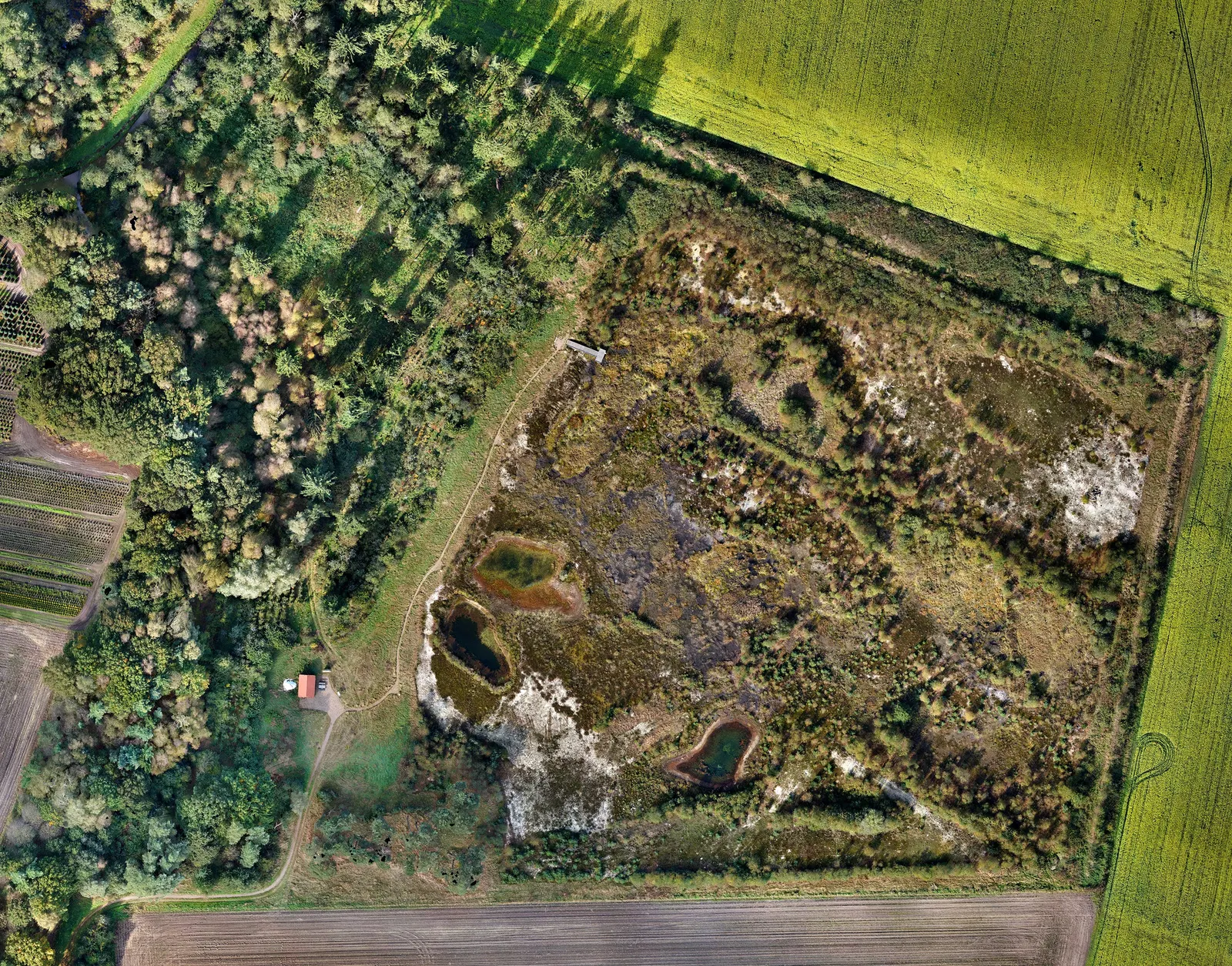 Digitales Orthophoto mit 2cm Auflösung aus dem Jahr 2014